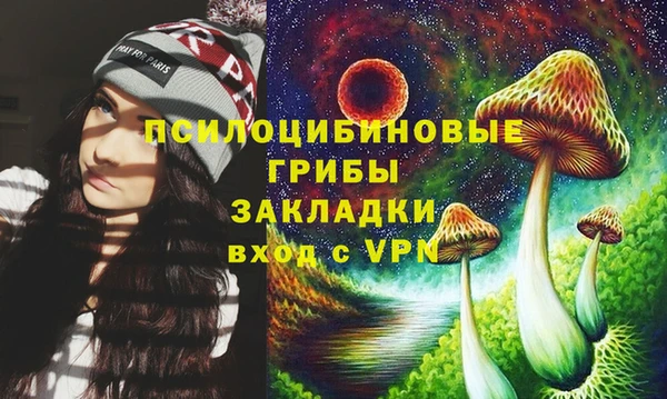 стаф Белоозёрский